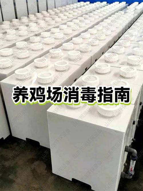 养鸡场地消毒用什么药缩略图