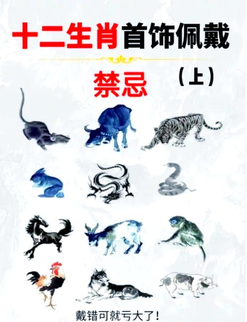 奥迪最旺的三个生肖缩略图