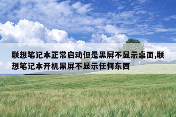 电脑正常启动但是黑屏不显示桌面缩略图