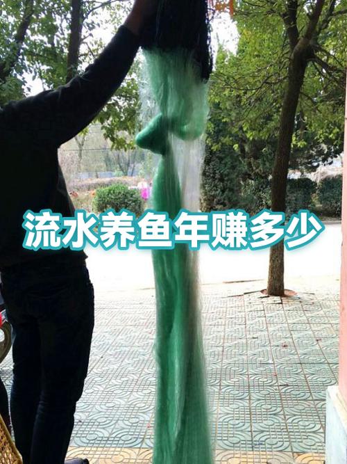 水库除了养鱼还可以怎么赚钱图标