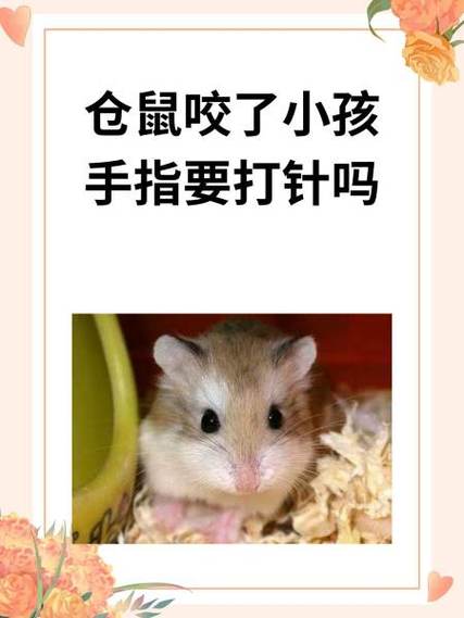仓鼠咬另一只仓鼠的原因缩略图