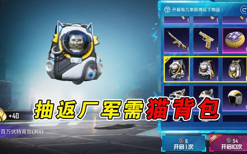 和平精英猫咪背包挂件安装包 游戏截图