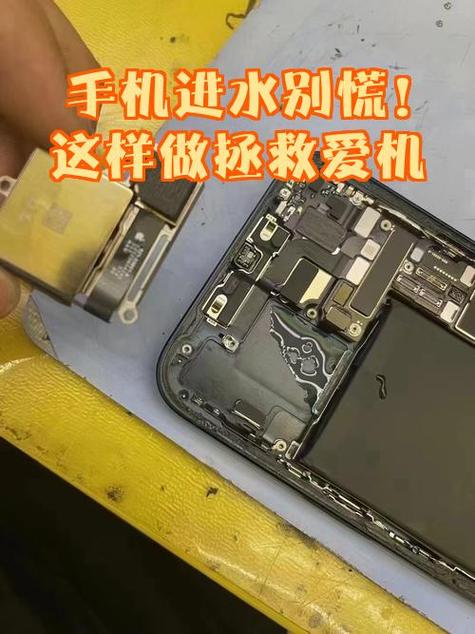 手机进水黑屏了怎么把数据导出来缩略图