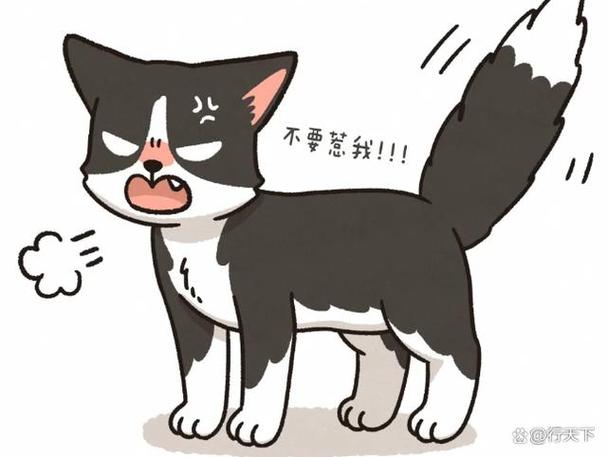 猫咪尾巴摇来摇去是什么意思图标