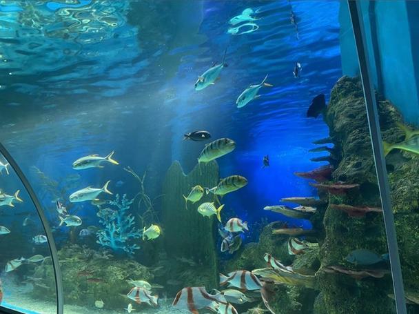 水族馆乐园内置菜单缩略图