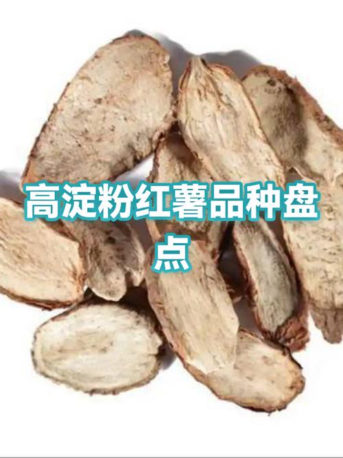 淀粉薯最好三个品种缩略图