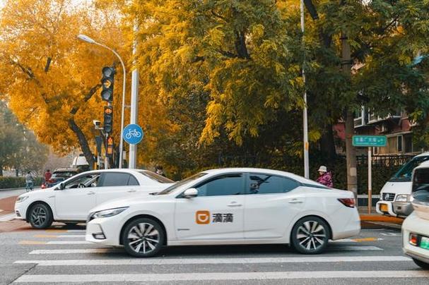怎样查看滴滴打车的总消费图标