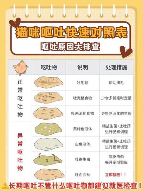 猫咪呕吐的解决方法缩略图