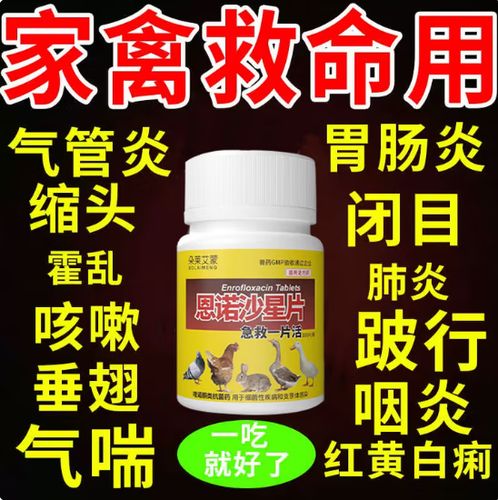 养鸡吃什么药能治各种病图标