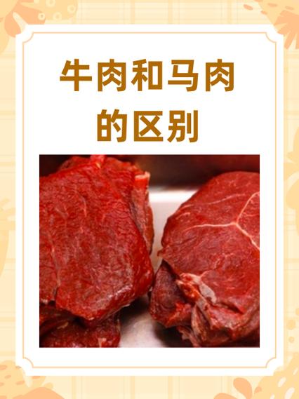 骡子肉跟牛肉有啥区别呢缩略图