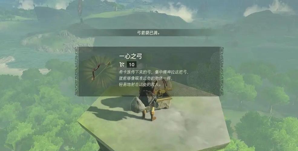 旷野之息一心之弓有什么用图标