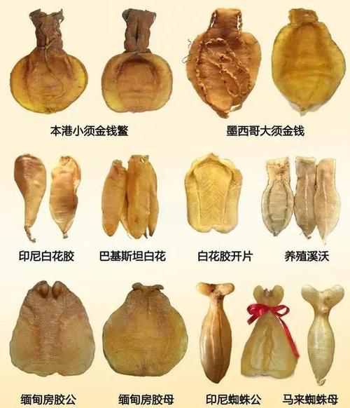 干鱼胶放冰箱坏了还能吃吗缩略图