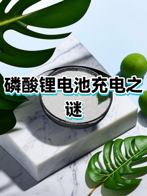 手机有时候显示充电但没充进去缩略图