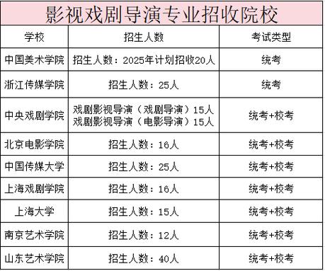 戏剧影视导演专业报考指南 游戏截图
