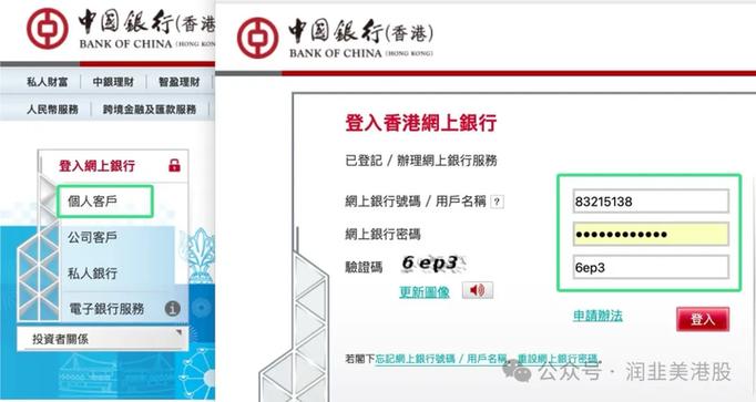 中国银行密码在哪里看图标
