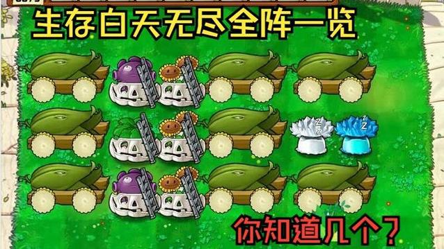 95版植物大战僵尸无尽模式在哪缩略图