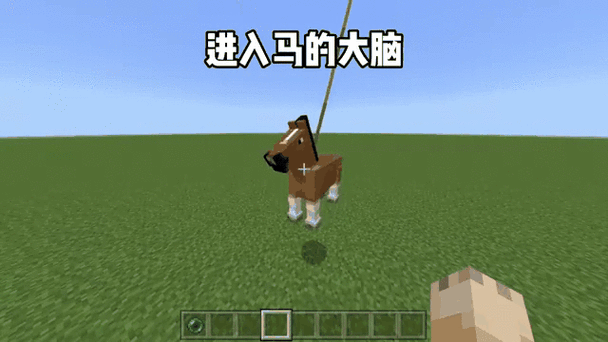 我的世界马的速度怎么看游戏截图