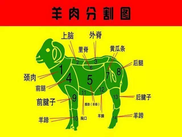 全羊怎么分割