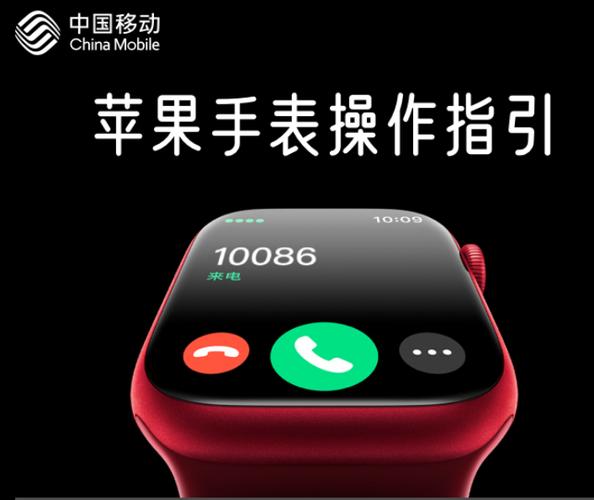 手表一号双终端和独立号码区别图标