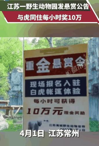 动物园一天挣10万正常吗缩略图