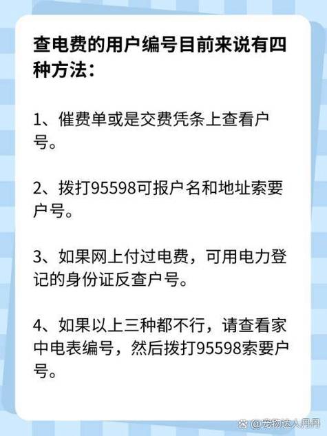 95598电费户号网上查询图标