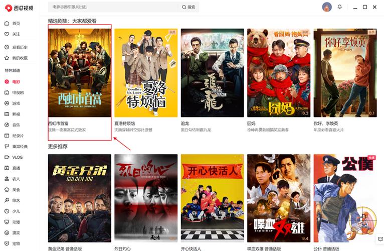 西瓜视频在线观看免费播放电视剧40集缩略图