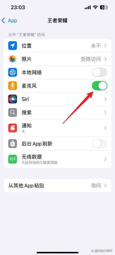 语音权限
