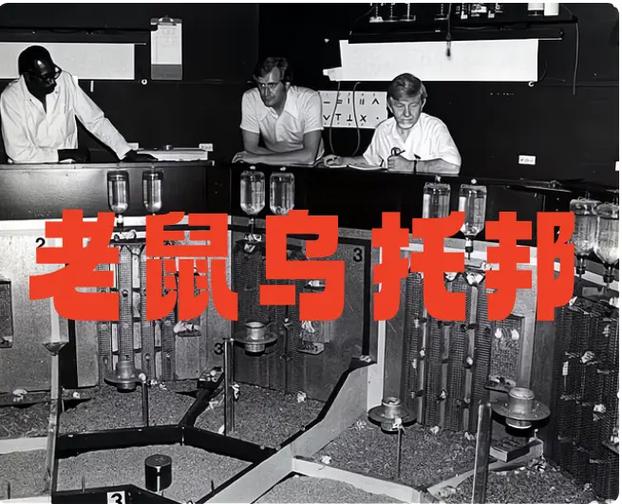 老鼠乌托邦缩略图