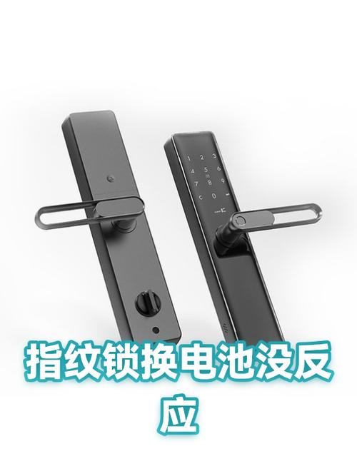 指纹锁换电池后指纹就没了吗游戏截图