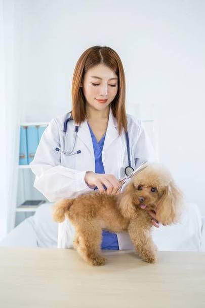 宠物美容师工资一般多少钱一个月缩略图