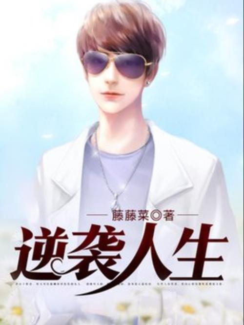 逆袭人生免费阅读全文缩略图