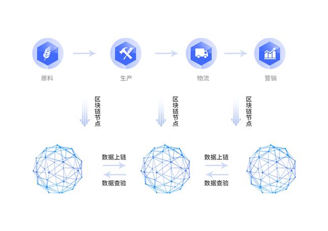 区块链追溯源码缩略图