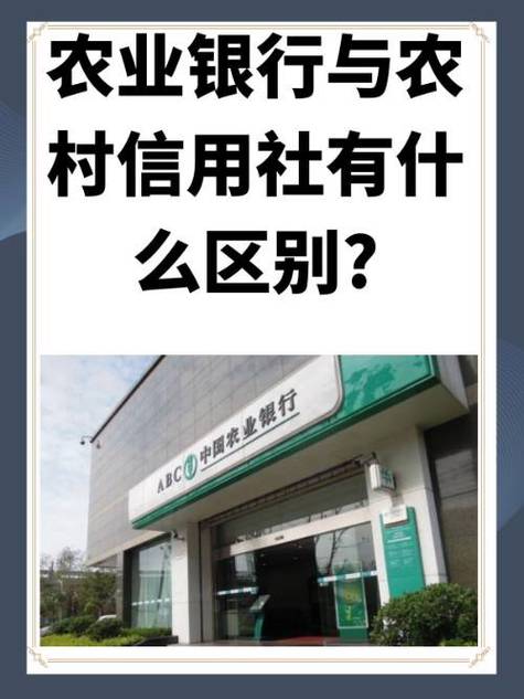 农村信用社怎么调额度缩略图