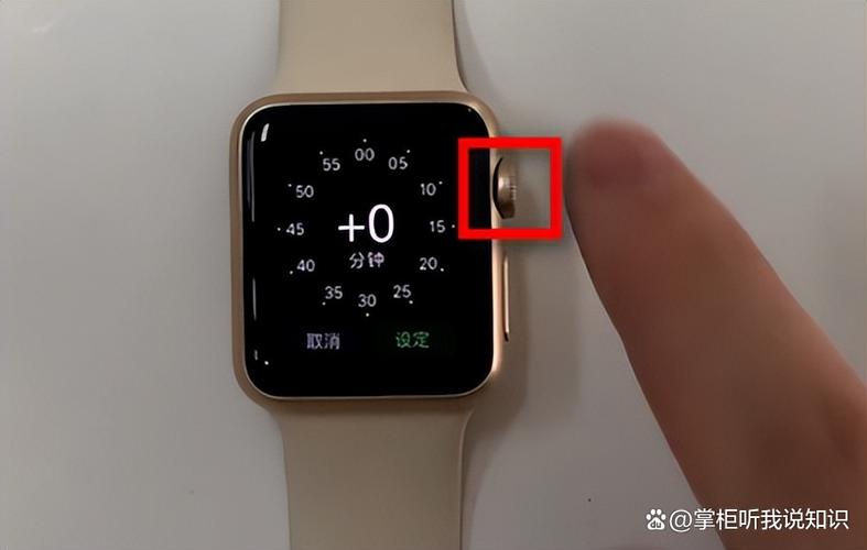 苹果表二代s1和s2区别游戏截图