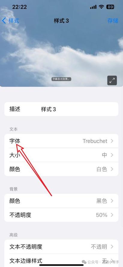 苹果手机大屏幕字幕怎么弄出来图标