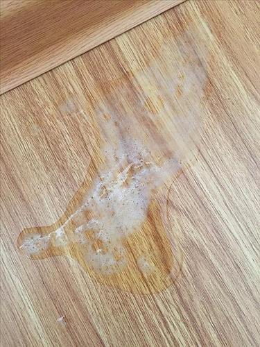 猫咪吐白沫不吃东西没精神缩略图