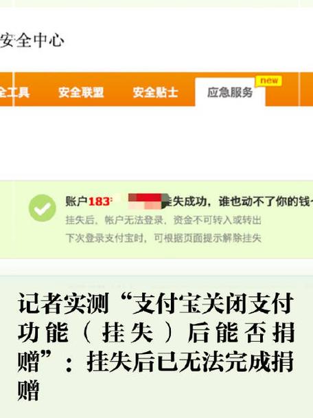 支付宝挂失救援 游戏截图