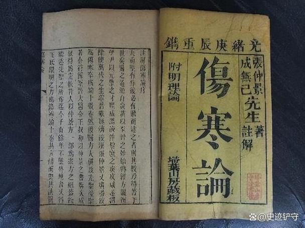 中医扁鹊学派经典书籍图标