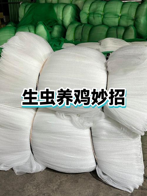 养什么虫子养鸡成本低缩略图