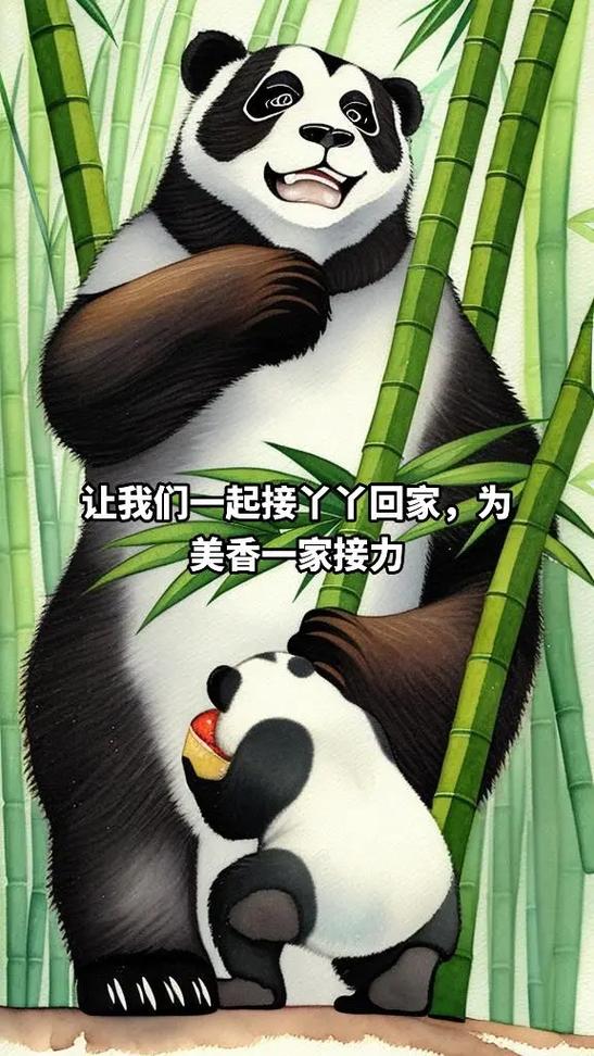熊猫最火文案短句缩略图