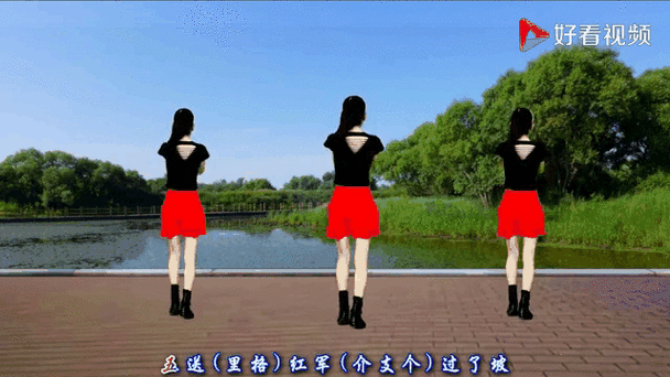 经典老歌曲广场舞缩略图
