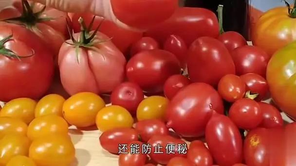 老中医为何建议西红柿尽量少吃缩略图