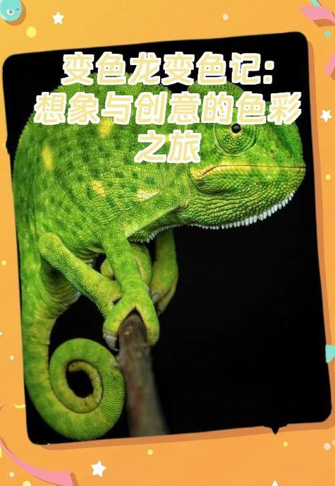 变色龙官网引导最新版缩略图