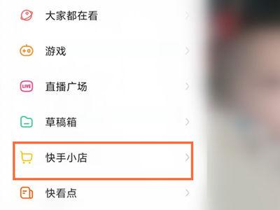 快手上消费总额怎么查图标