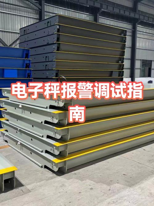 scale电子秤怎么调试图标