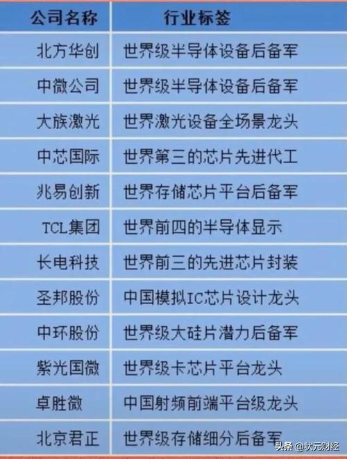 中国闪存龙头上市公司