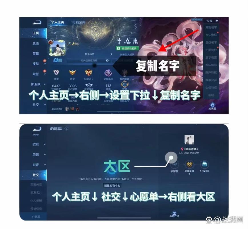 王者荣耀隐藏战绩查询安卓手机版缩略图