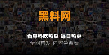 网红黑料研究所