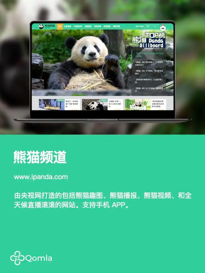 熊猫vp最新版2022安卓版缩略图