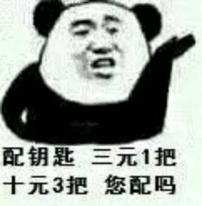 我是配钥匙的说你不配就是不配表情包